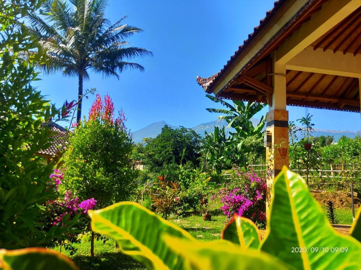 Bale Sebaya Bungalows Senaru Bagian luar foto